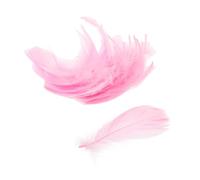 SMASOLO 100 Pezzi Piume Colorate per Decorazioni Feste e Progetti Fai da Te Materiale per Matrimonio e Creazione Sogni Piume Morbide e Resistenti per Creativo