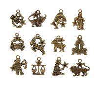 SMASOLO 60 Pezzi Ciondoli in Lega Dodici Segni Zodiacali, Pendenti Fai da Te per Bracciali e Collane, Accessori per Creazione Gioielli, Materiali Resistenti, Set Regalo Creativo