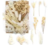smatime Fiori Secchi, Set di Fiori Secchi Naturali Pressati, Foglie Miste, Decorativi per Fai da Te Album Ritaglio Candele Gioielli Artigianato Scrapbook (Bianco)