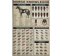 SMAZDFXX Cartello Parti della conoscenza del cavallo - Razze di cavalli Poster retrò vintage in metallo Decorazione da parete 8x12 pollici