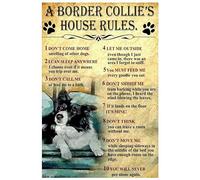 SMAZDFXX Le regole della casa di un Border Collie, cartello in metallo, poster retrò vintage, decorazione da parete, 8 x 12 pollici