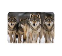 SMAZDFXX Zerbino per ingresso 16 x 24 pollici, zerbino Pack of Wolves per ingresso antiscivolo impermeabile