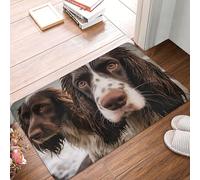 SMAZDFXX Zerbino per porta d'ingresso 16" x 24" Due cani sulla spiaggia Zerbino assorbente Facile da usare Tappeti per ingresso per patio Arredamento per la casa in stile fattoria