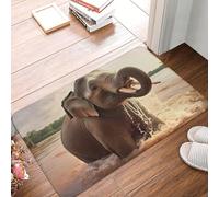 SMAZDFXX Zerbino per porta d'ingresso 16" x 24" zerbino per porta da bagno a forma di elefante assorbente facile da usare per l'ingresso del patio, arredamento per la casa in stile fattoria