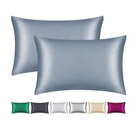 Smbeope - Confezione da 2 federe in 100% seta di gelso, ottima per capelli e pelle, con cerniera nascosta, federa per cuscino in seta naturale da 22 momme su entrambi i lati, morbida, traspirante e