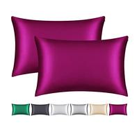 Smbeope - Confezione da 2 federe in 100% seta di gelso, ottima per capelli e pelle, con cerniera nascosta, federa per cuscino in seta naturale da 22 momme su entrambi i lati, morbida, traspirante e