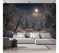 SMBHIAON Carta Da Parati Fotografica 3D Effetto Luce Della Luna Splende Sulla Scena Innevata - Foresta Notte Invernale Carta Per Pareti Soggiorno Camera Da Letto Sala Fotomurali (450L×315Acm)