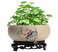 SMELEYOU Fiornatrice Per Ciotola Di Loto Per Semi Di Fiori Di Loto In Stile Cinese Vasi Di Piante Idroponiche Interno Con Base Di Plastica Squisita Pentola Bonsai Rustica Senza Scarico Per Giglio