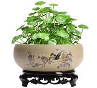 SMELEYOU Fiorta Di Ciotola Di Loto Per Semi Di Fiori Loto In Stile Cinese Su Tempi Di Pianta Per Piante Interne Con Base Plastica Squisita Vaso Bonsai Rustico Senza Scarico Per Giglio