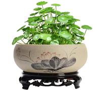 SMELEYOU Piantatrice Di Ciotola Di Loto Per Semi Di Fiori Di Loto Pentole A Pianta In Ceramica Per Piante In Base Con Base Di Plastica Squisita Pentola Bonsai Rustica Per Giglio