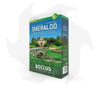 Smeraldo Bottos - 1Kg Sementi evolute per prato ornamentale di gran pregio
