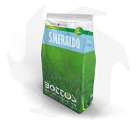 Smeraldo Bottos - 5 Kg Sementi evolute per prato ornamentale di gran pregio