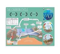 SMGLRUEAT Earth Carbon Cycle Poster Science Classroom Chart | Photosynthesis respiration guide for middle school high school and homeschool decor(Framed,12X18inch(30X45cm))
