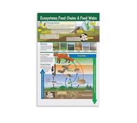SMGLRUEAT Ecosystems Food Chains and Food Webs Educational Science Poster Canvas Wall-Art Print for Classroom Study Room Decor(Framed,12x18inch(30x45cm))