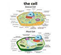 SMGLRUEAT Explore the World of Cells Canvas Print - Artistic Renderings of Plant & Animal Cell Structures - Inspirational Science Wall Decor for Classroom or Office(Framed,08x12inch(20x30cm))