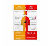 SMGLRUEAT Heat Stroke and Heat Exhaustion Educational Chart First Aid Awareness Poster Canvas Wall-Art for Workplace Clinic Office(Framed,08x12inch(20x30cm))