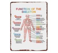 SMGLRUEAT Human Skeleton Metal Sign Function of Bones Educational Wall Decor for Biology Class Clinic Doctor Office 8 X 12 in