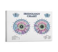 SMGLRUEAT Vintage Ophthalmology Chart Poster - Antique Style Eye Anatomy Illustration, Retro Wall Decor for Doctor's Office, Library & Vintage Home Aesthetic(Framed,08x12inch(20x30cm))