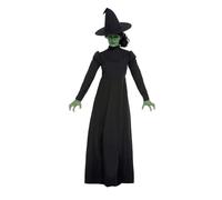 Wicked Strega Costume Donna Halloween Costume Streghe Completo UK 4-18