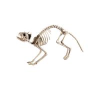 Smiffys Scheletro gatto, Colore naturale, 60cmx12cmx25cm / 24inx5inx10in