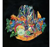 Kaitlyn Aurelia Smith Ears (Vinyl LP) 12" Album