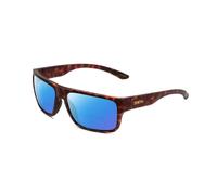 Smith Ottica Colonna Sonora Polarizzati Bifocale Occhiali Tartaruga Oro 61mm 41