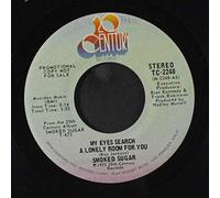 SMOKED SUGAR - my eyes search a lonely room for you / mono