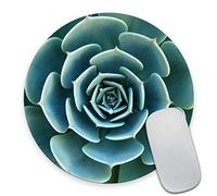 Smooffly Round Gaming Mouse Pad Custom Design, Green Aloe Succulent Plant Non-Slip Rubber Mouse Pads Cute Mat Size 7.9 x 7.9 x 0.12 Inch