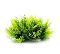 Smoothedo-Pets Piante per acquario, decorazioni per acquario, 2 pezzi, piccole dimensioni/8,9 cm, in plastica, pianta artificiale per pesci rossi, paesaggio acquatico, mini set di erba (2 pezzi/verde)