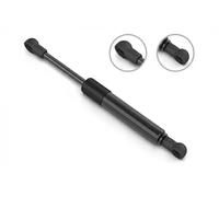 STABILUS 326989 Ammortizzatore tiranteria, Impianto iniezione