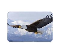 SMSJTMWHN Tappetino di benvenuto, zerbino con aquila volante per ingresso interno ed esterno, tappetini a basso profilo, facile da pulire, tappeto per ingresso anteriore, decorazione per la casa, 61 x