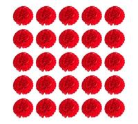 SMTCM 25 pezzi di carta velina, fiori rossi, palline di carta, colorate, fatte a mano, decorazioni per matrimoni, palline di carta, pom poms, ghirlanda, carta decorativa per compleanno, baby shower