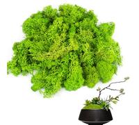 smtfcty Muschio islandese, 100 g, muschio artificiale per il fai da te, muschio artificiale, muschio artificiale, conservato, muschio artificiale, muschio per foto di muschio, come decorazione o per