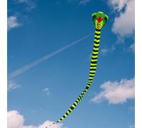 Snake Kite Giocattolo da esterno facile da usare per bambini per feste di