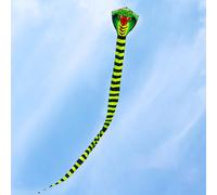 Snake Kite Giocattolo da esterno facile da usare per bambini per feste di