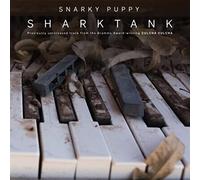 Snarky Puppy - Sharktank