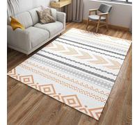 Snaweo Tappetino Riscaldante Elettrico in Grafene, Grazioso Tappeto Riscaldato, Scaldapiedi a Riscaldamento Rapido, Impermeabile E Facile da Pulire(Color8,200x250cm/78.7x98.4in)