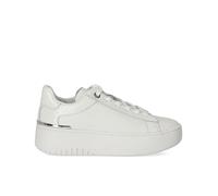 SNEAKER DOTTIE BIANCA MICHAEL KORS 40