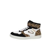 Sneakers Donna Alberto Guardiani AGW003602