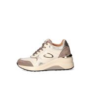 Sneakers Donna Alberto Guardiani AGW434100
