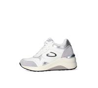 Sneakers Donna Alberto Guardiani AGW434101