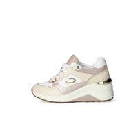 Sneakers Donna Alberto Guardiani AGW438502