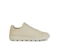Sneakers Geox Spherica Ecub-1 C Beige 42