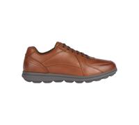 Geox Sneaker Spherica Ec12