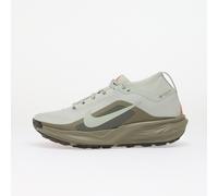 Sneakers NIke ACG Pegasus Trail GORE-TEX Light Silver/ Light Silver-Light Army 39