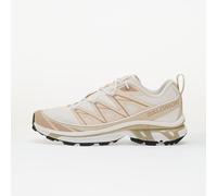 Sneakers Salomon XT-6 Expanse White/ Rainy Day/ Oxford 46 2/3