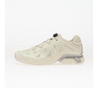 Salomon XT-Whisper Void Vanilla Ice Silver - EU 41 1/3