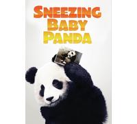 Sneezing Baby Panda Amber Clayton Lesley Hammond Jenny Walsh
