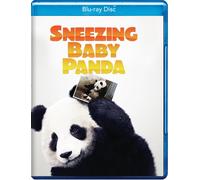 Sneezing Baby Panda Amber Clayton Lesley Hammond Jenny Walsh
