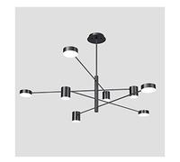 SNHHNSW Light Lamp Iron Art s Ceiling Pendant Light Fitting Bedroom Accessories Fittings Ceilings Living Room Restaurant Light Shades Variable Optical Remote Promise Clus